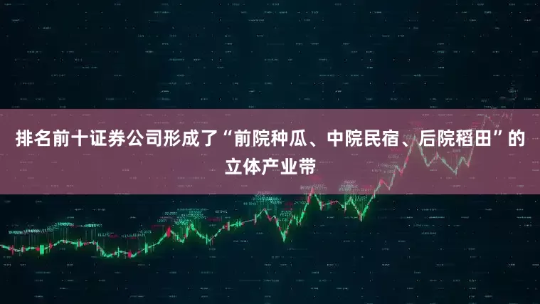 排名前十证券公司形成了“前院种瓜、中院民宿、后院稻田”的立体产业带