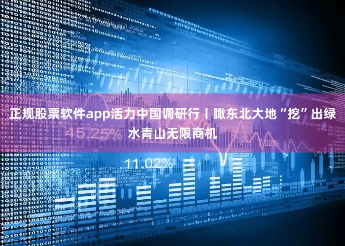 正规股票软件app活力中国调研行丨瞰东北大地“挖”出绿水青山无限商机