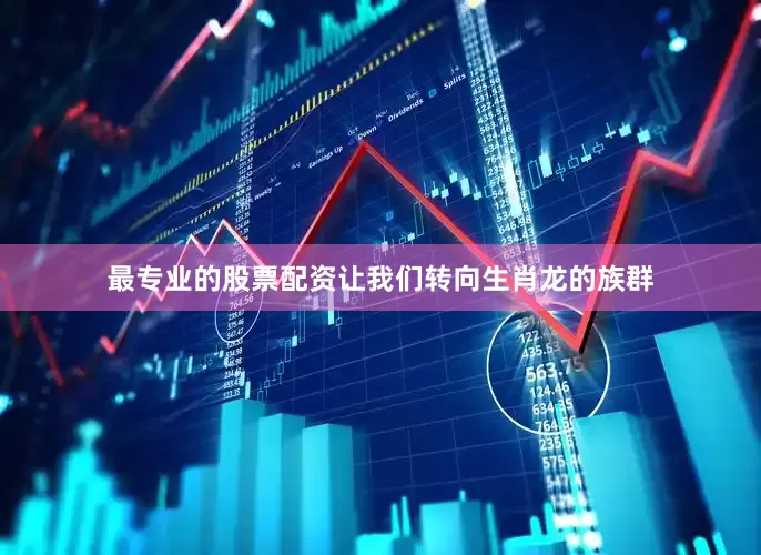 最专业的股票配资让我们转向生肖龙的族群