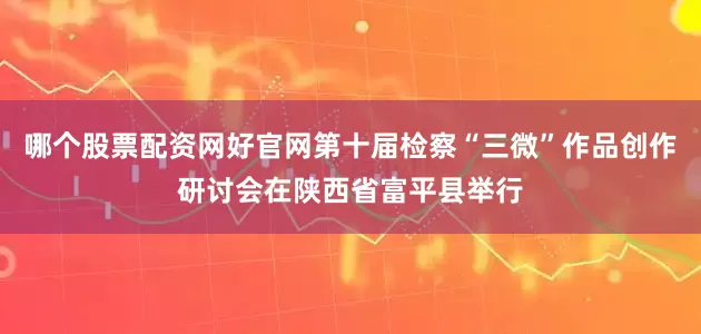 哪个股票配资网好官网第十届检察“三微”作品创作研讨会在陕西省富平县举行