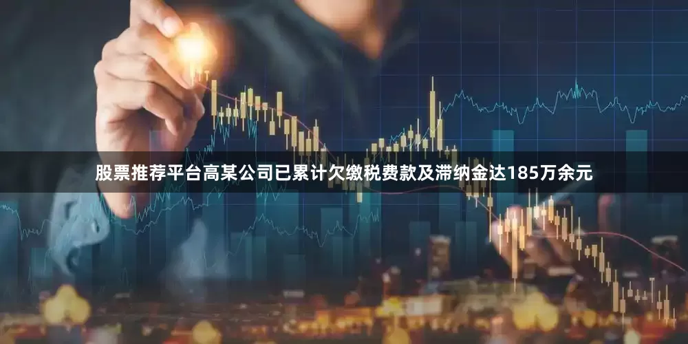 股票推荐平台高某公司已累计欠缴税费款及滞纳金达185万余元