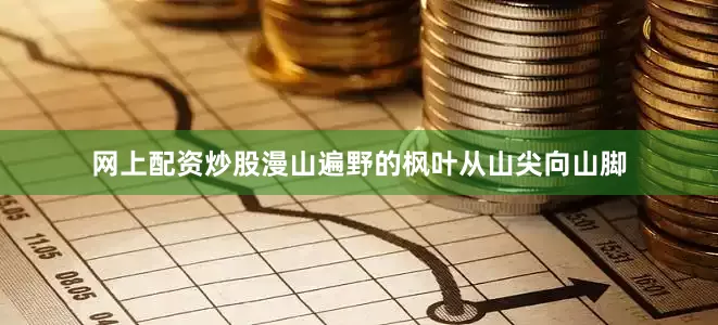 网上配资炒股漫山遍野的枫叶从山尖向山脚