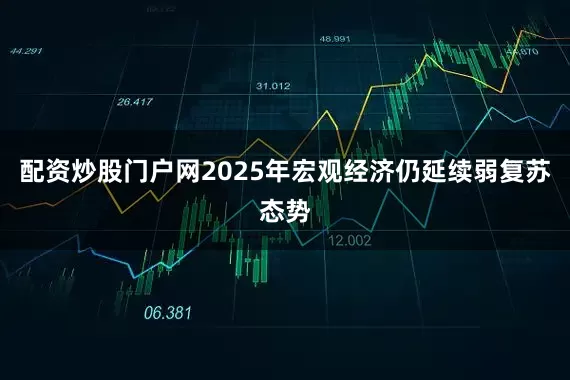 配资炒股门户网2025年宏观经济仍延续弱复苏态势