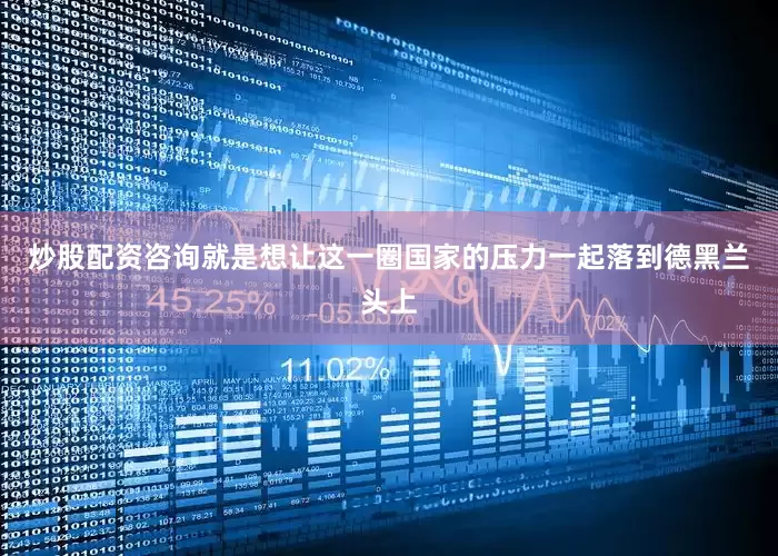 炒股配资咨询就是想让这一圈国家的压力一起落到德黑兰头上